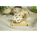 High Quality Dried Great White Flower Mushroom